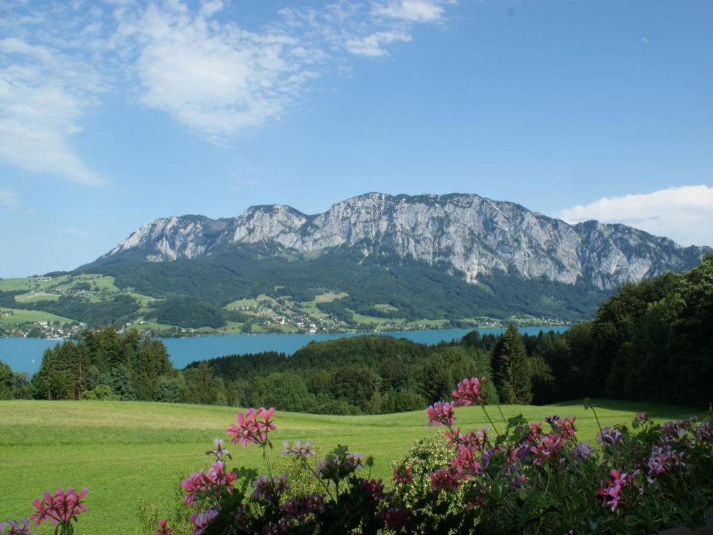 Biobauernhof Nussbaumer Villa Nussdorf am Attersee Exterior foto